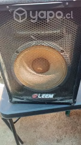 Equipo Amplificador PM 45 RV 4 marca Leem