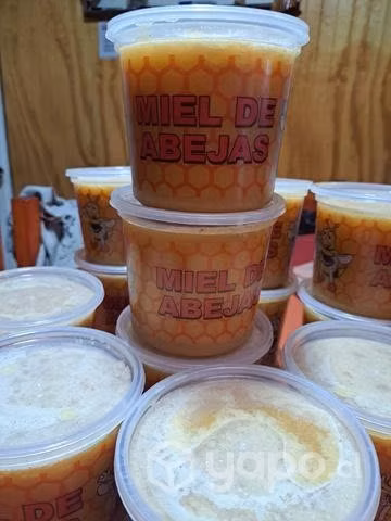 Miel de abeja 100% pura - Imagen 3