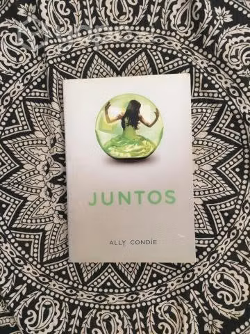 Juntos - Ally Conde