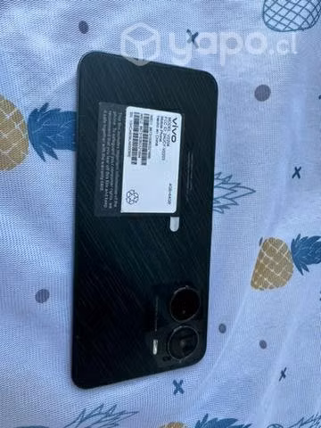 Marca vivo y16