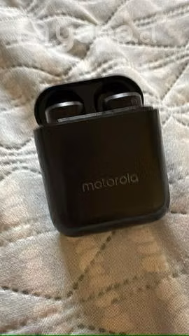 Marca vivo y16