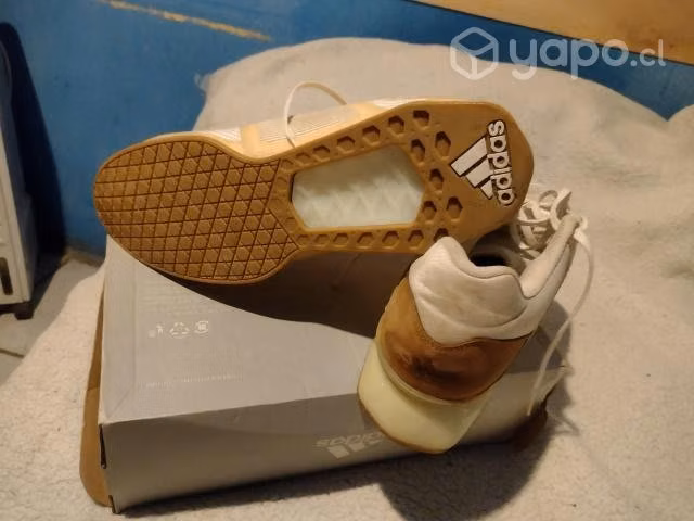 Zapatillas
