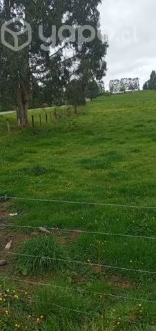 Se vende hermosa parcela 5000 metros cuadrados