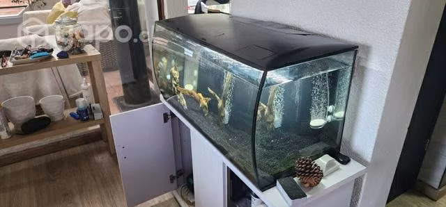 Acuario FLUVAL 123L