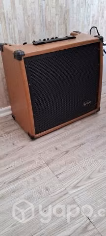 Amplificador - Imagen 2