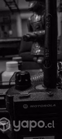 Radio Motorola APX 1000VHF