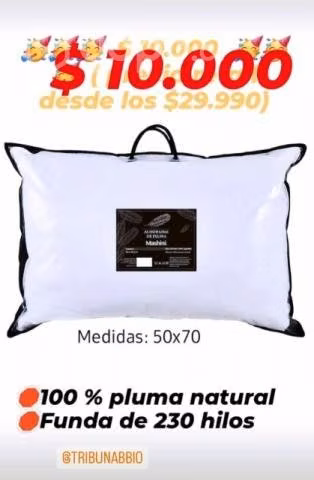 Almohada de pluma