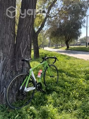 Bicicleta de ruta de carbono 11v