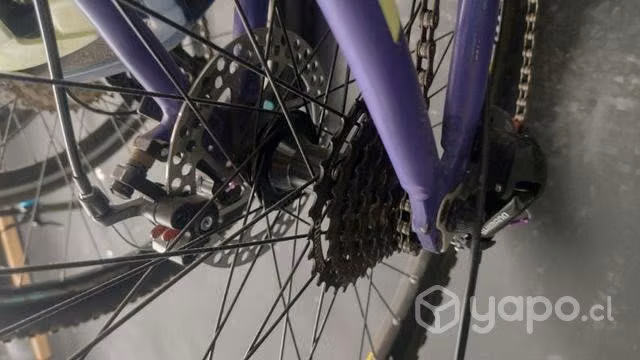 Bicicleta Oxford Venus 1 - Imagen 2