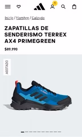 Zapatillas Adidas Terrex AX4