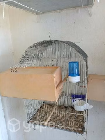 4 Jaula criadores metálicas