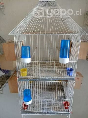 4 Jaula criadores metálicas