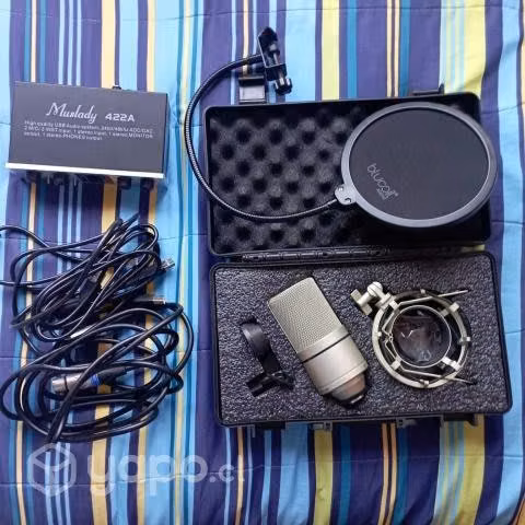 Microfono MXL 990 condensador en buen estado