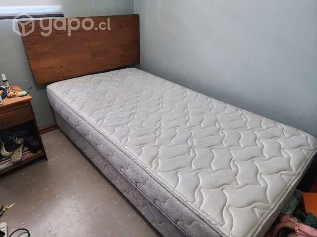 Cama