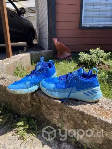 Zapatillas de basket D Rose - Imagen 2