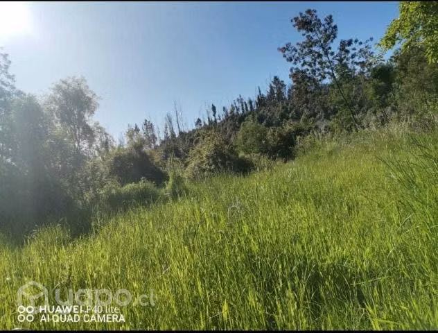 Terreno en Galvarino