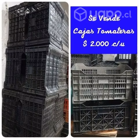 Venta de cajas plasticas ventiladas