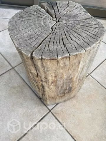 Tronco de madera