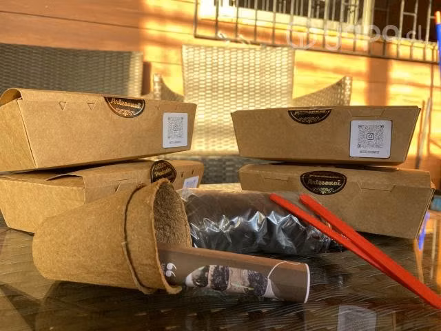 Kit de jardinería
