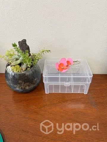 Caja con compartimentos