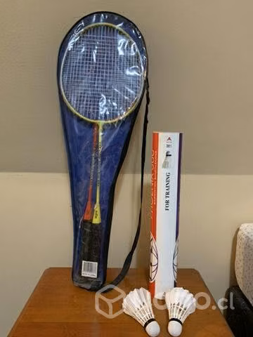 Set Badminton