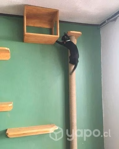 Rascador Gatera