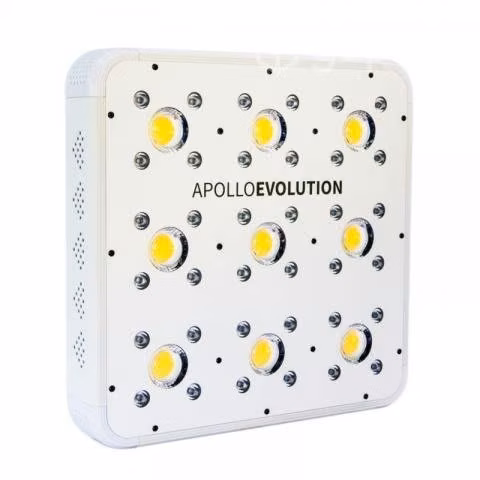 Apollo Evolution 9