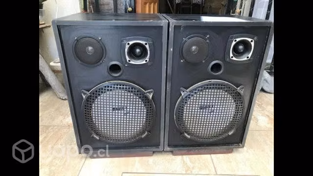 Parlantes 12 pulgadas