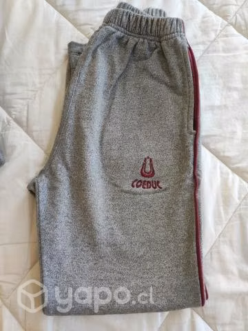 Uniforme Coeduc Quilpue