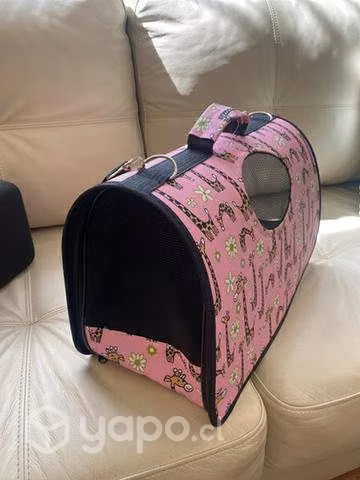 Canil para perro o gato