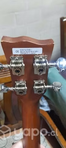 Ukelele suzuki