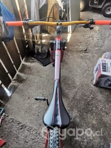 Bicicleta radical mountain aro 29 por ren