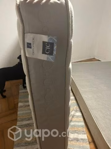 Cama 2 plazas Flex y colchon cic ortopedic - Imagen 3