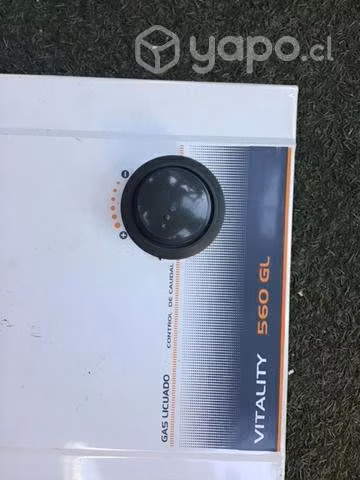 Calefont splendid 560gl  - Imagen 2