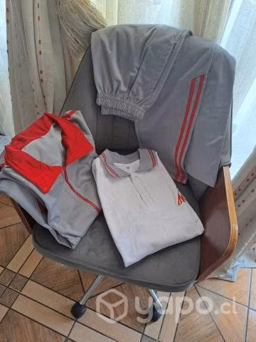 Buzo y polera Liceo Artistico Nuevo