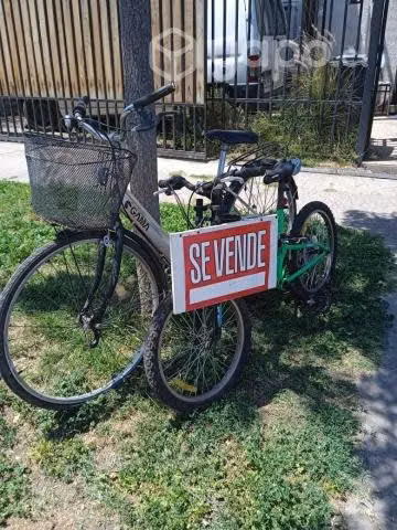 Bicicletas Gama