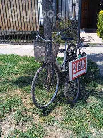Bicicletas Gama - Imagen 2
