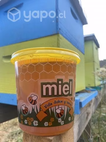 Miel 100% natural - Imagen 2