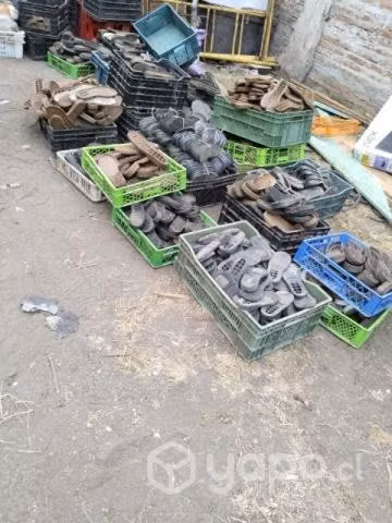 Plantas de zapatos