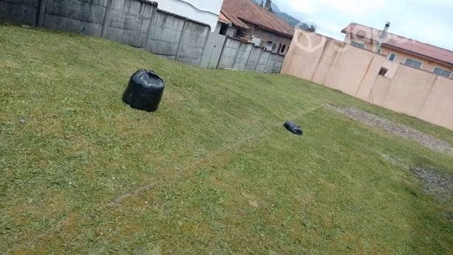 Se realizan cortes de pasto