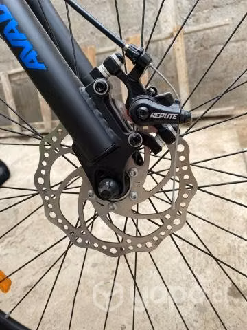 Bicicleta Avalanche