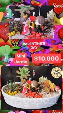 Arreglos Suculentas Día del Amor 14 de Febrero
