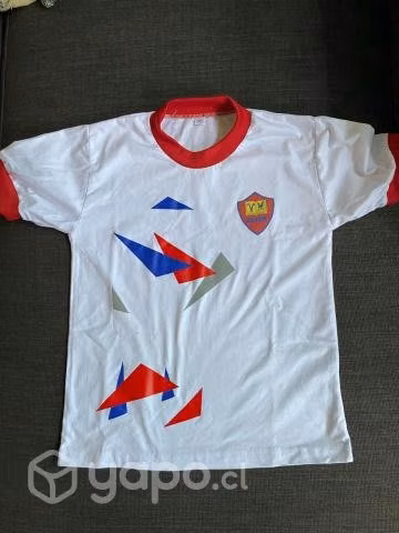 Polera buzo villa maria college