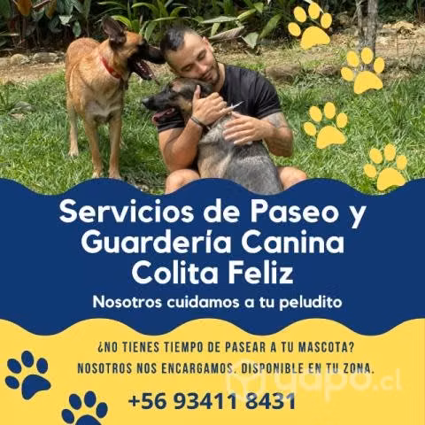 Paseadores de perros