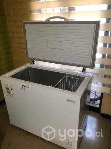 Congeladora Fensa Z200
