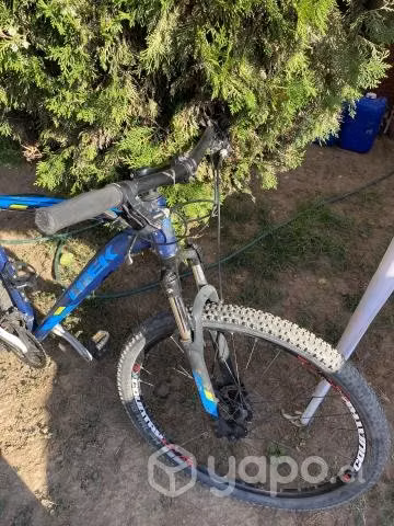 Trek Marlin 6