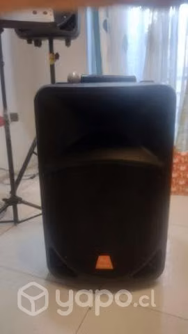 Parlante Baretone 15 pulgadas portátil usado impec