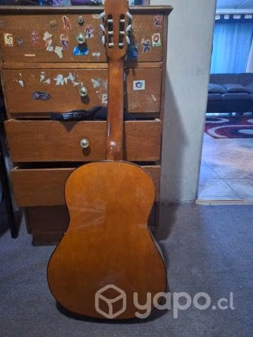 Guitarra acustica