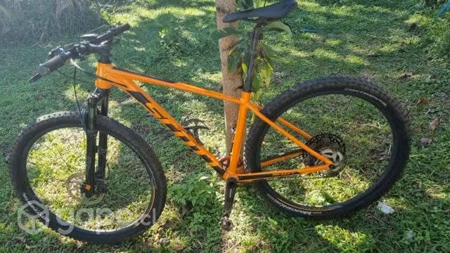 Scott scale 970 - Imagen 3