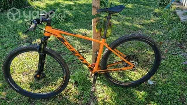 Scott scale 970